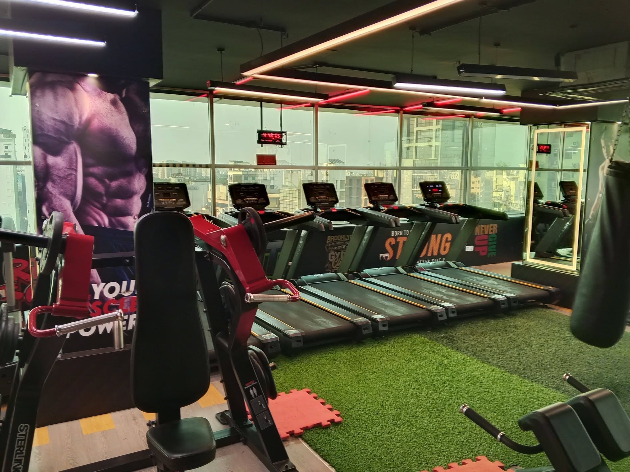 Row of treadmills facing the glass wall on the cardio deck